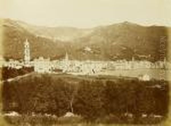 Rapallo Oil Painting by Alfred Noack