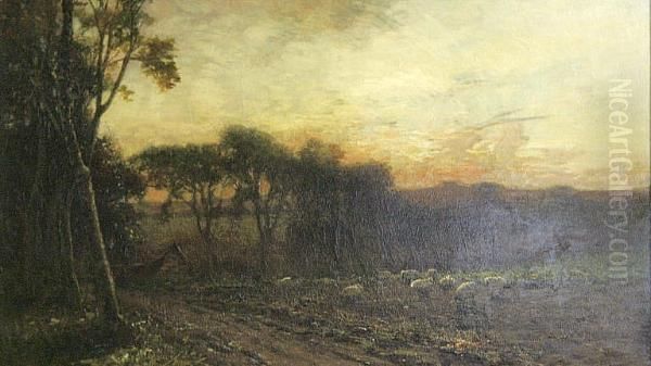 Sheep Grazing At Dusk Oil Painting by James Campbell Noble