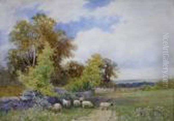 Sheep On Leckhampton Hill Oil Painting by John Bates Noel