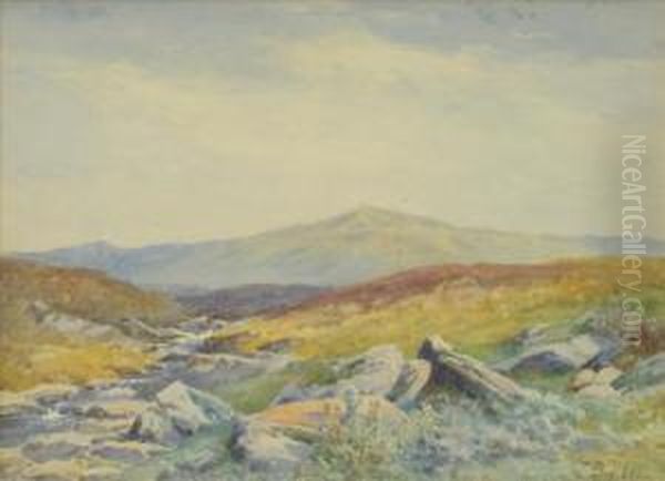 A Moorlandstream Oil Painting by John Bates Noel