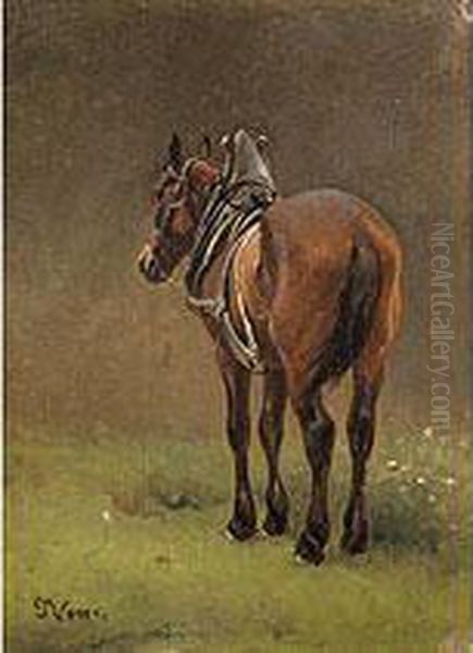 Braunes Pferd Im Geschirr Oil Painting by Julius Noerr