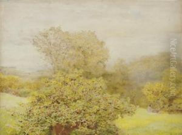 Spring In A Western Orchard Oil Painting by John William North