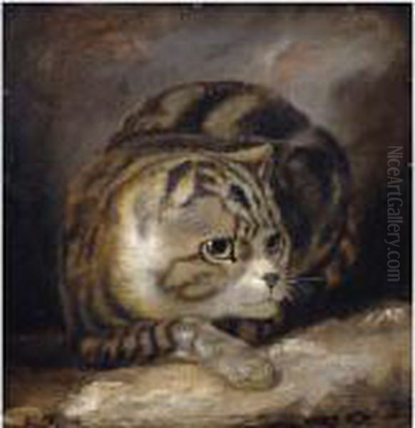 A Wild Cat Oil Painting by James Northcote