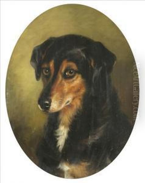 Study Of Asheepdog Oil Painting by Benjamin Cam Norton