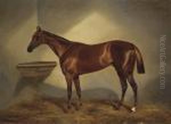 A Chestnut Racehorse In A Stable Oil Painting by Benjamin Cam Norton