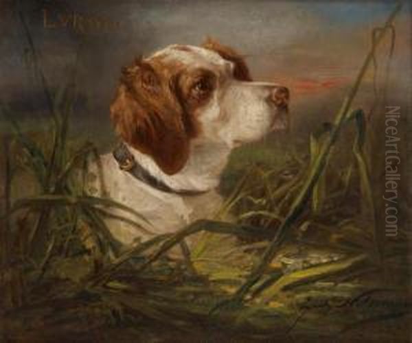 Portrait Du Chien De Chasse Luron Oil Painting by Zacharias Noterman