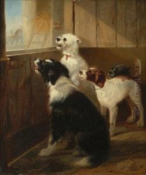 A Group Of Dogs In A Stable Interior Oil Painting by Zacharias Noterman