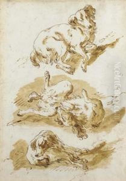 Three Studies Of A Dog Frolicking Oil Painting by Pietro Antonio Novelli