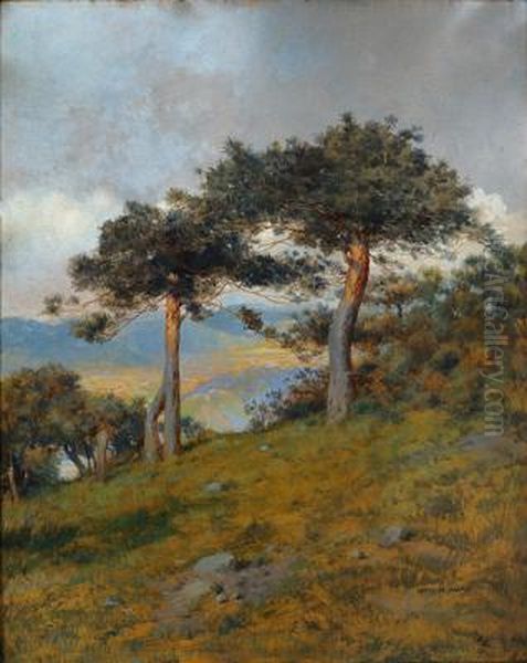 Pine Trees On A Cliff Oil Painting by Otto Nowak