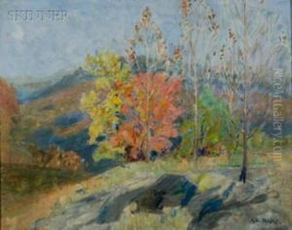 Early Spring In The Mountains Oil Painting by George Loftus Noyes