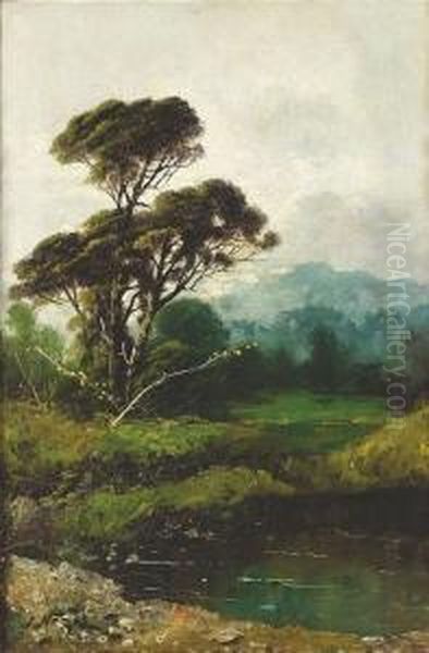 Nozal, Alexandre. Summery Landscape With A Big Pine Oil Painting by Alexandre Nozal