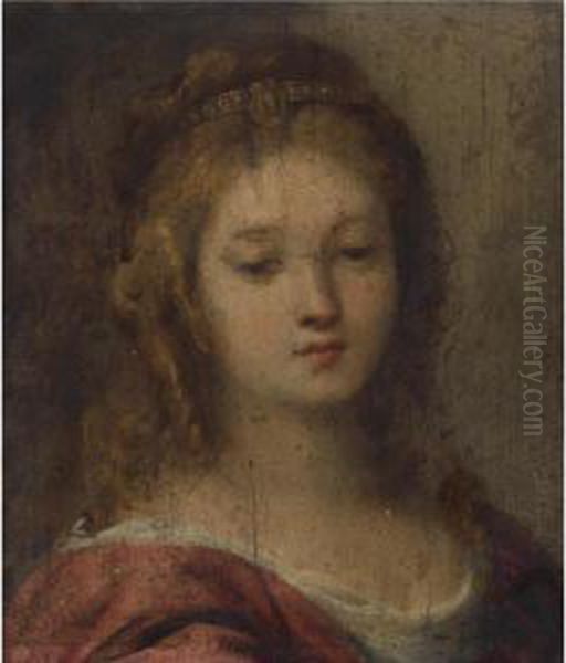 Head Of A Woman Oil Painting by Carlo Francesco Nuvolone