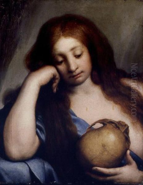 Penitent Magdalene Oil Painting by Carlo Francesco Nuvolone