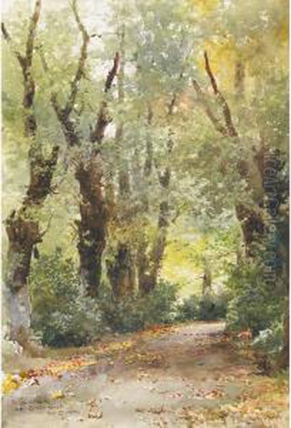 The Laurel Walk, Clovelly Court, Sept 27 Oil Painting by Lucius Richard O'Brien