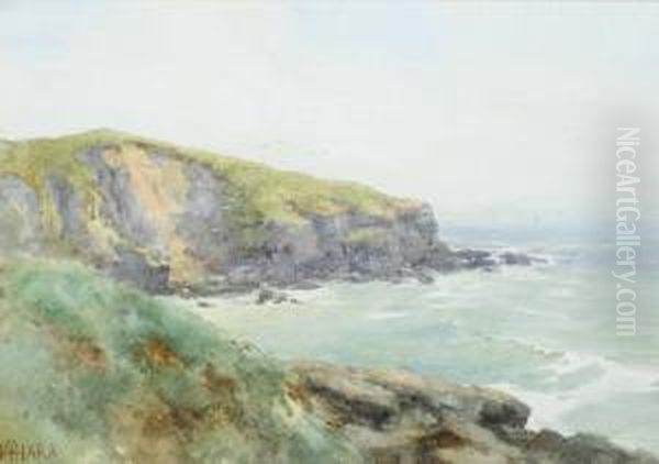 Coastal Cliffs And Gulls Oil Painting by Helen O'Hara