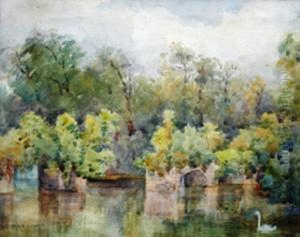 Lake Scene With Swan Oil Painting by Helen O'Hara