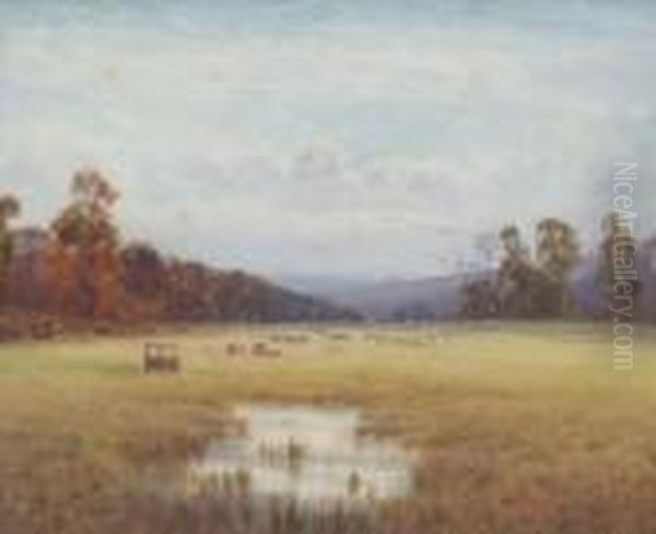 Sunlight Field Oil Painting by Helen O'Hara