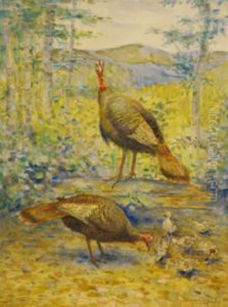 Wild Turkey And Canadian Geese Oil Painting by Aloysius C. O'Kelly