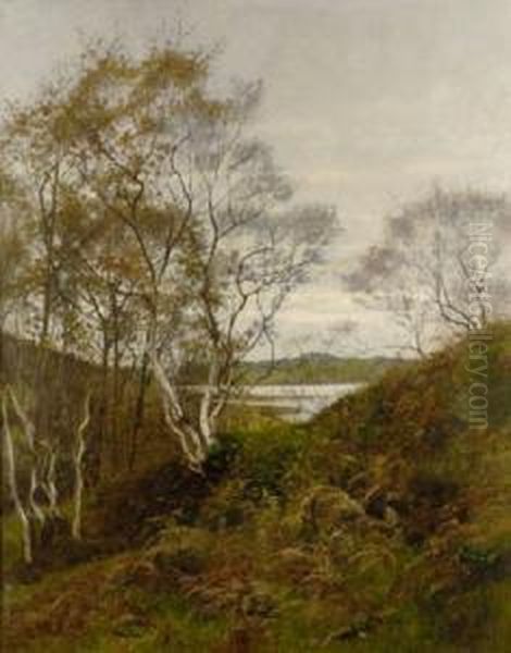 View Of A Lake Through Trees Oil Painting by Aloysius C. O'Kelly