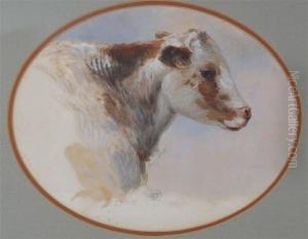 Head Study Of A Cow Oil Painting by Henry Nelson O'Neil