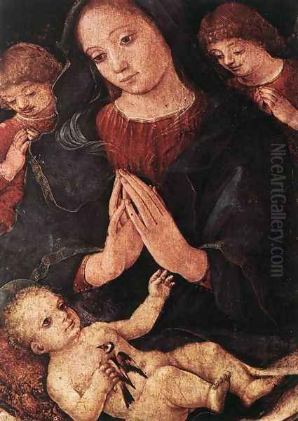 Madonna del Cardellino Oil Painting by Liberale Da Verona