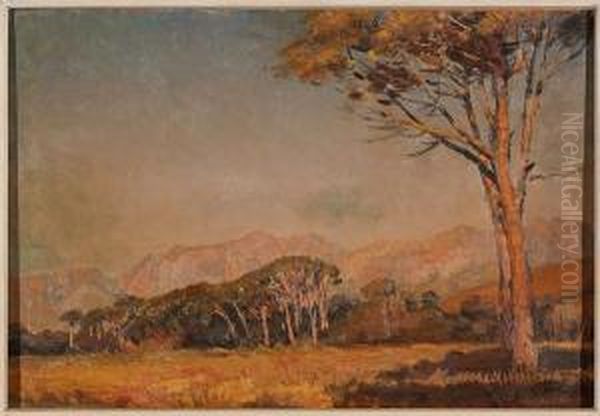 Franschhoek, Western Cape Oil Painting by Frans David Oerder