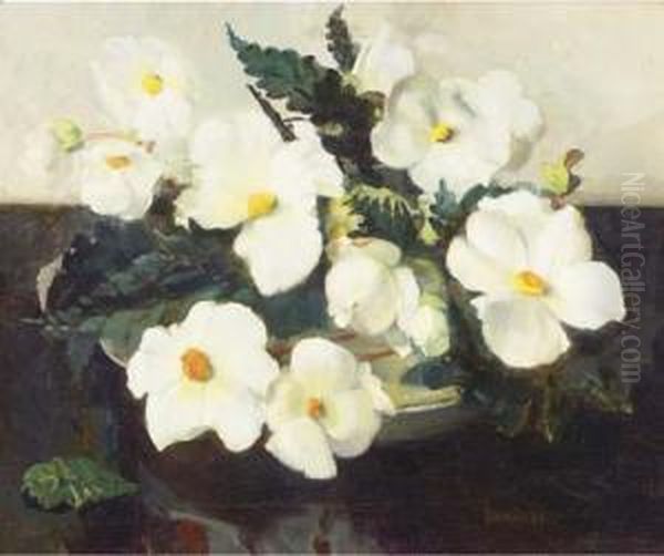 Begonia's Oil Painting by Frans David Oerder