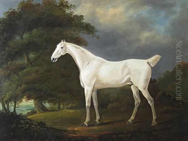 Grey Horse In A Landscape Oil Painting by Edwin, Beccles Of Cooper