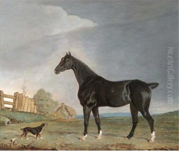 A Dark Bay Hunter And A Terrier In A Landscape Oil Painting by Edwin, Beccles Of Cooper