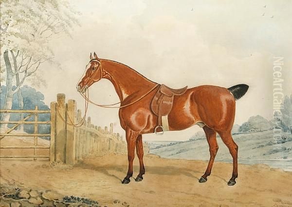 A Bay Horse In A Landscape Oil Painting by Edwin, Beccles Of Cooper