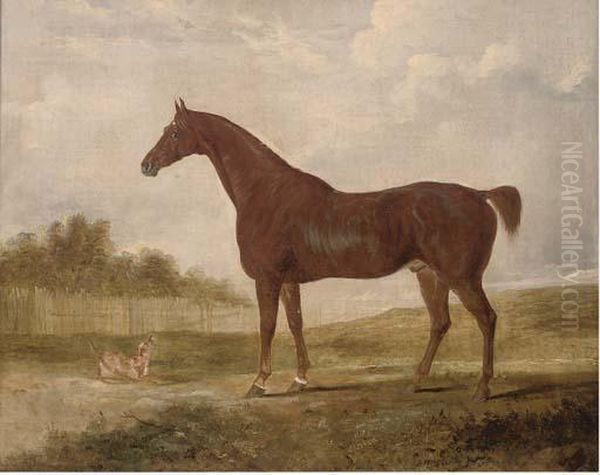 A Chestnut Hunter And A Terrier In An Extensive Landscape Oil Painting by Edwin, Beccles Of Cooper