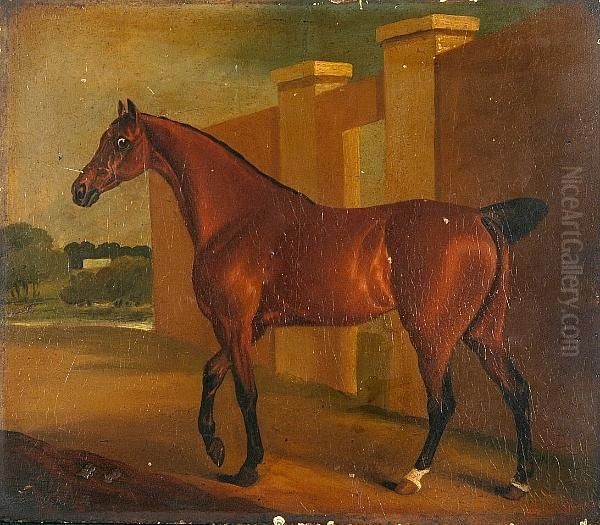 A Bay Mare Oil Painting by Edwin, Beccles Of Cooper