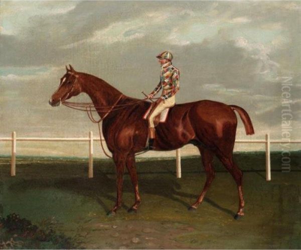 Barefoot With Jockey Up Oil Painting by Edwin, Beccles Of Cooper