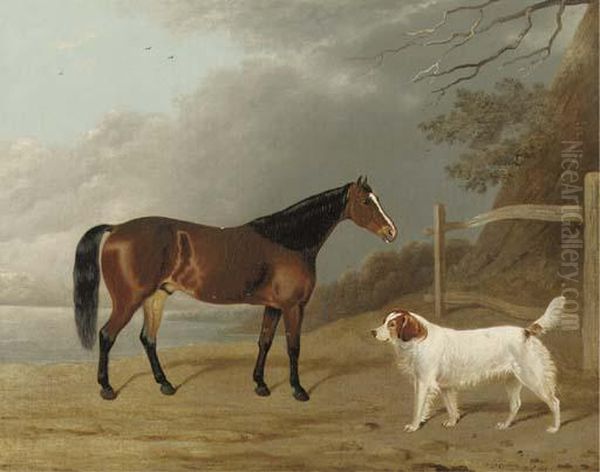 A Bay Hunter With A Dog By A Fence Oil Painting by Edwin, Beccles Of Cooper