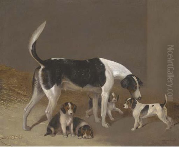 A Foxhound And Her Litter Oil Painting by Edwin, Beccles Of Cooper