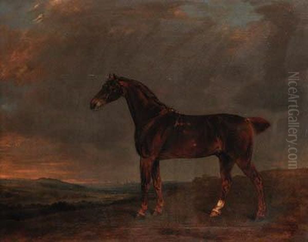 A Liver Chestnut In An Extensive Landscape Oil Painting by Edwin, Beccles Of Cooper