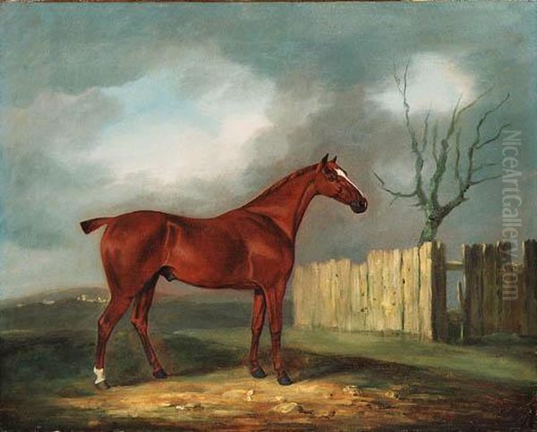 A Chestnut Hunter By A Fence In An Extensive Landscape Oil Painting by Edwin, Beccles Of Cooper