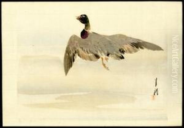 Mallard Oil Painting by Ogata Gekko