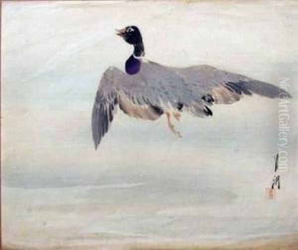 Untitled (flying Duck) Oil Painting by Ogata Gekko