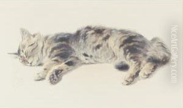 Sleeping Cat Oil Painting by Ferdinand Oger