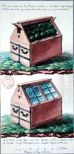 Illustration of a chest of drawers for transporting plants Oil Painting by Gaspard Duche de Vancy