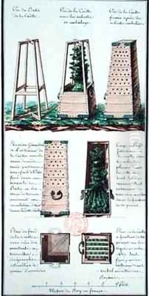 Illustration of a special cabinet for transporting shrubs and bushes Oil Painting by Gaspard Duche de Vancy