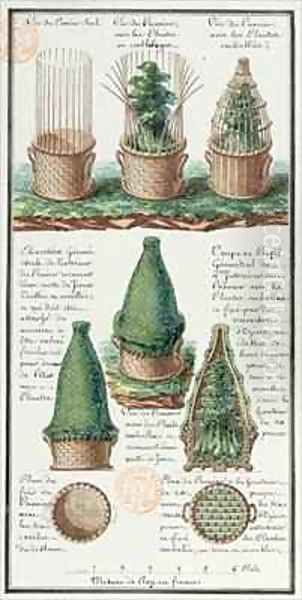 Illustration of a woven basket for transporting plants Oil Painting by Gaspard Duche de Vancy