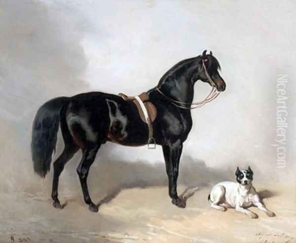 An Arabic horse and bulldogue Oil Painting by Alfred Dedreux