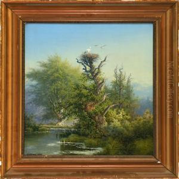 Shore With Two Storks Building A Nest On An Old Oak Tree Oil Painting by Peter Olsted