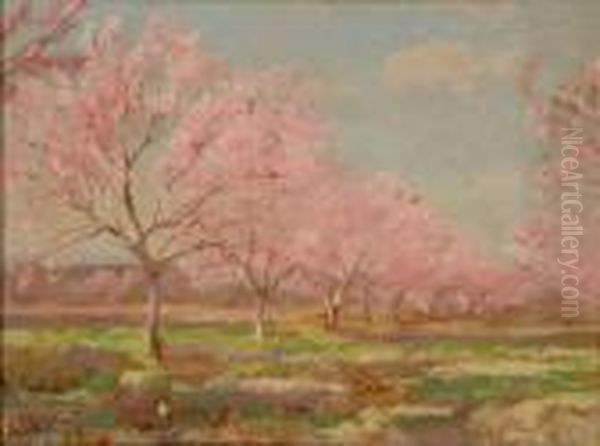 A Peach Orchard In Bloom Oil Painting by Julian Onderdonk