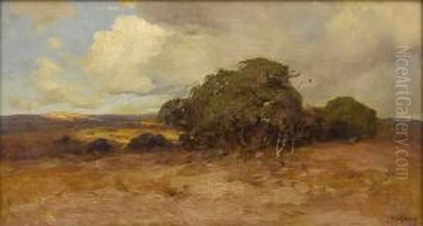 Untitled Texas Dry Country Oil Painting by Julian Onderdonk