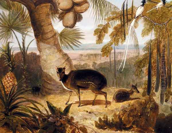 Musk Deer, And Birds Of Paradise Oil Painting by William Daniell RA