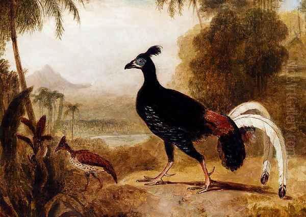 The Fire Pheasant Of The Island Of Java Oil Painting by William Daniell RA