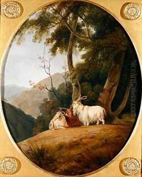 Kashmir Goats Oil Painting by William Daniell RA